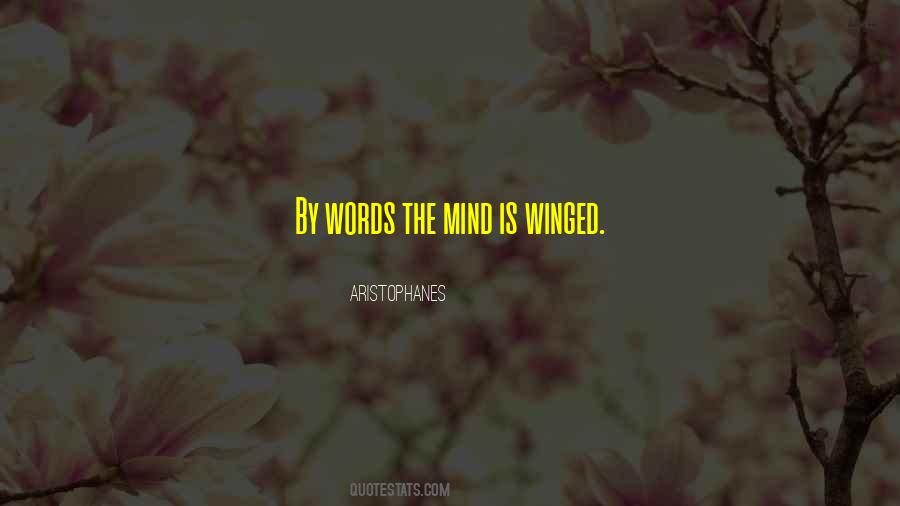 Pipinelis Quotes #196506