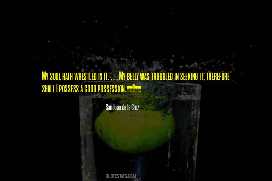 Ansiar Sin Nimos Quotes #1677252
