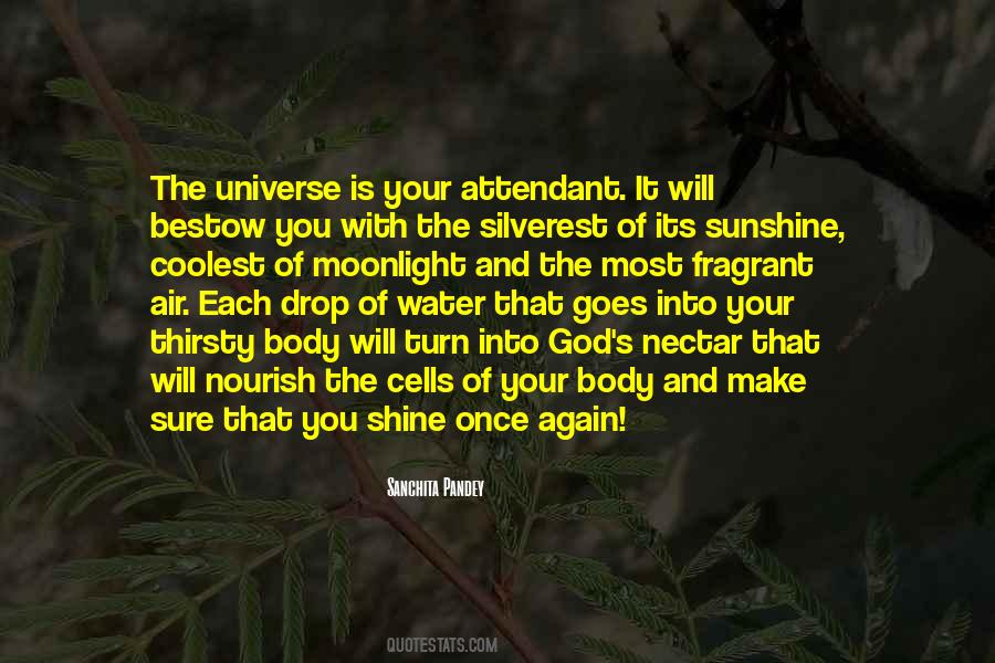 Nourish The Universe Quotes #857153