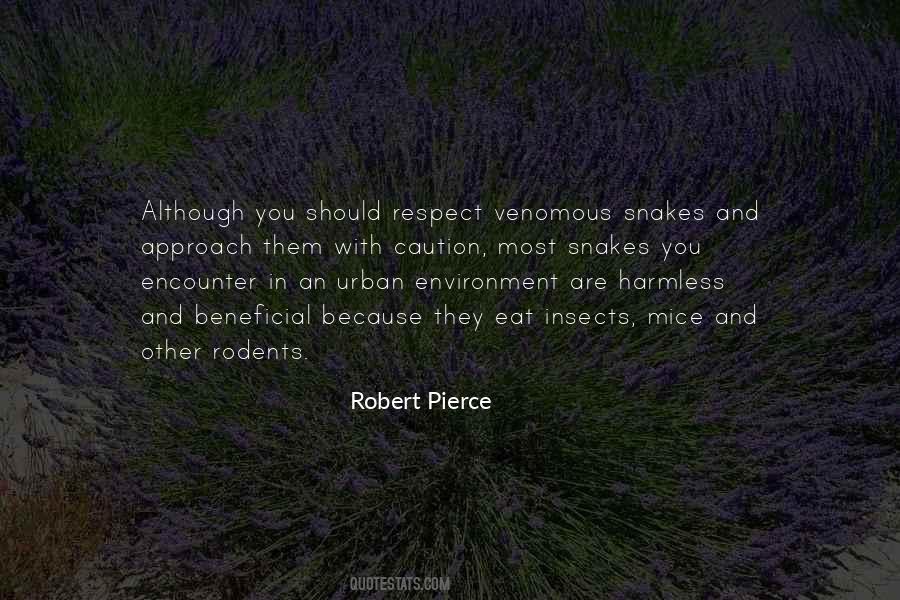 Aamds International Foundation Quotes #1407169