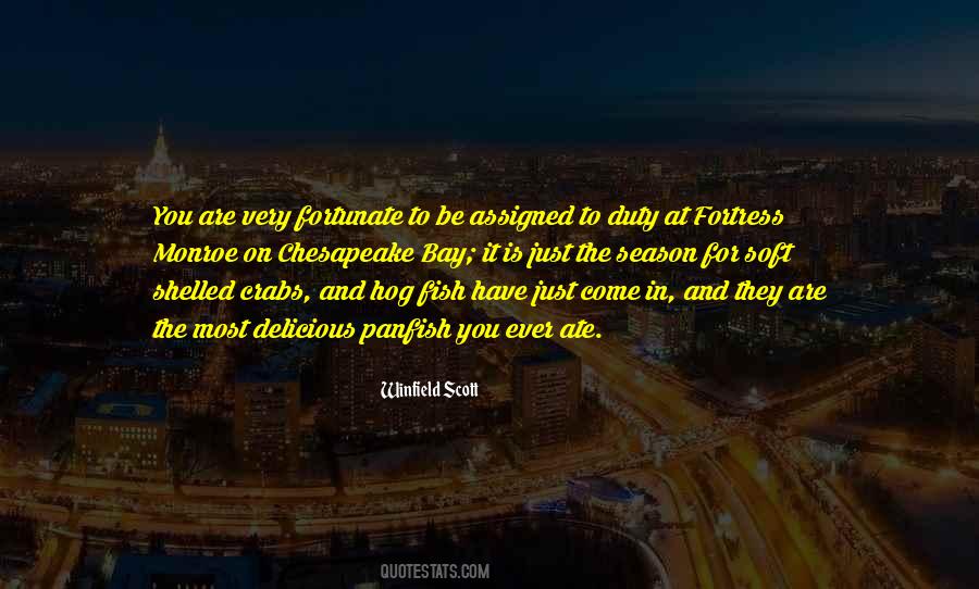 10x80 Quotes #1116742