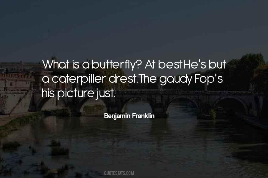 Best Picture Quotes #296445