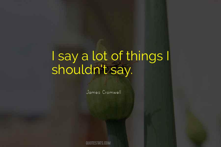 Vlajko Lalic Quotes #707494