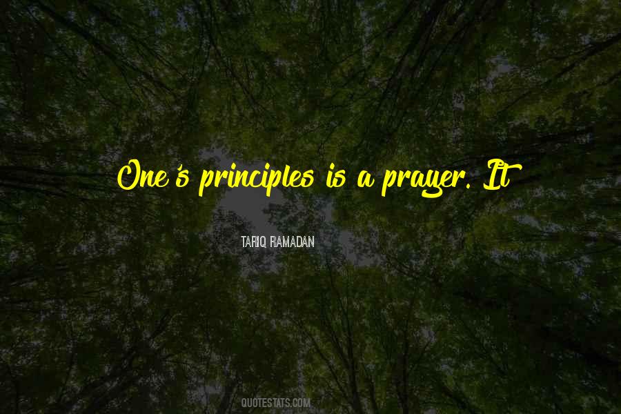 Academicians Synonyms Quotes #1013399