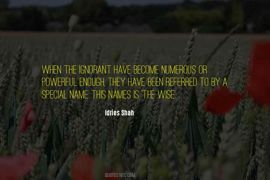 False Name Quotes #520119