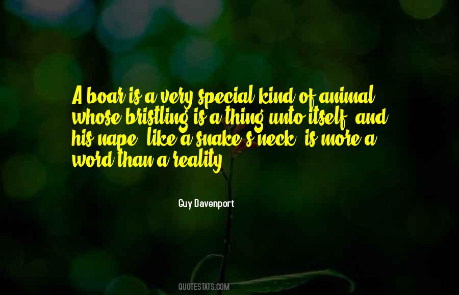 Pc Lite Quotes #782358