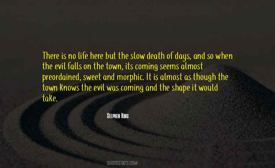 Days Go Slow Quotes #487076