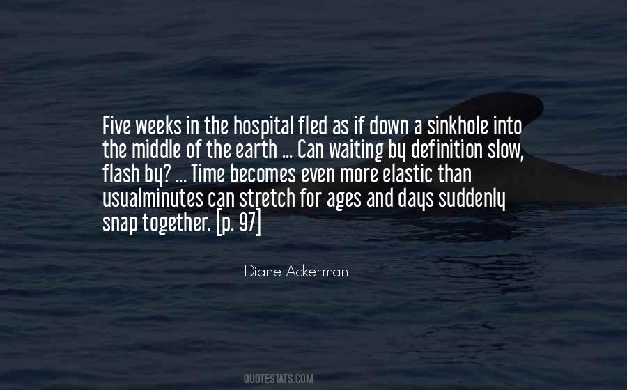 Days Go Slow Quotes #605389