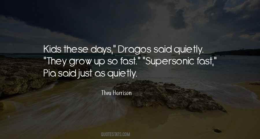 Days Go So Fast Quotes #521152