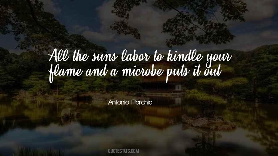 Upbraided Hairstyles Quotes #754704