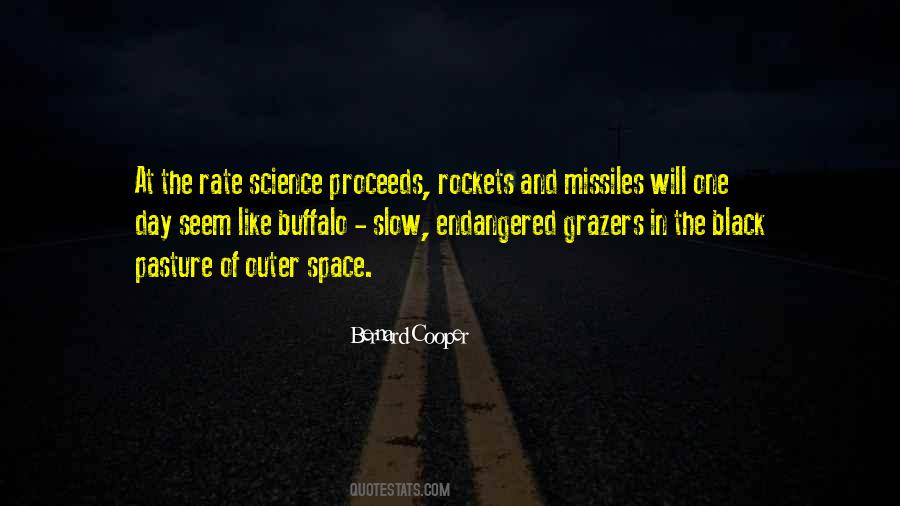 At The Rate Quotes #1597504