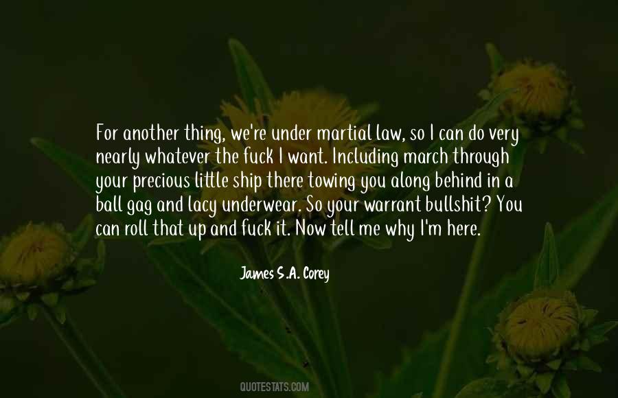 Why I Do It Quotes #53701