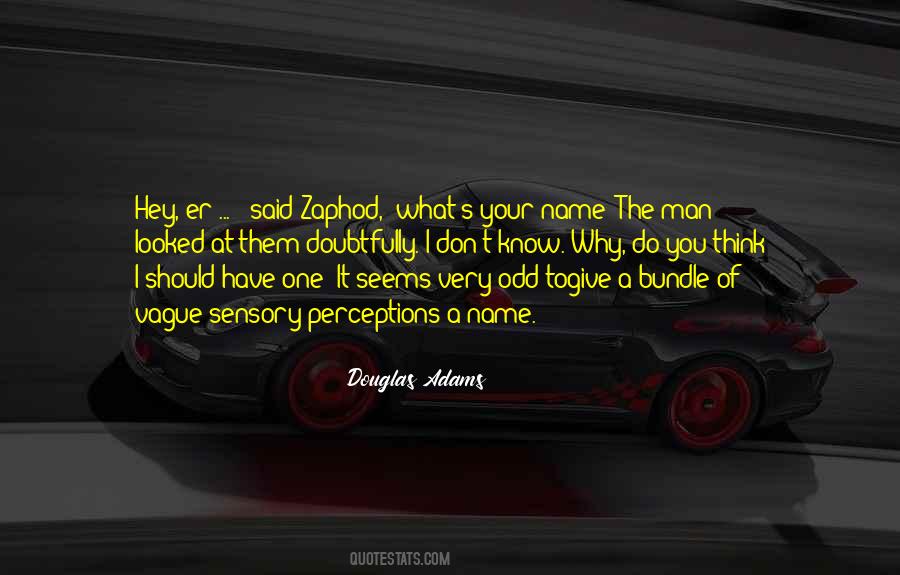 Why I Do It Quotes #9396