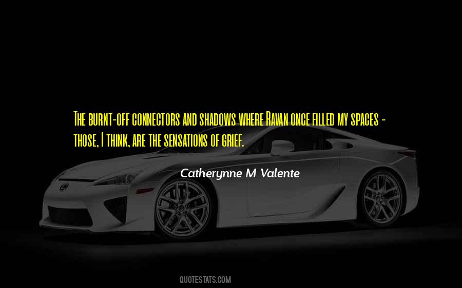 Adeel Airlines Quotes #1676048