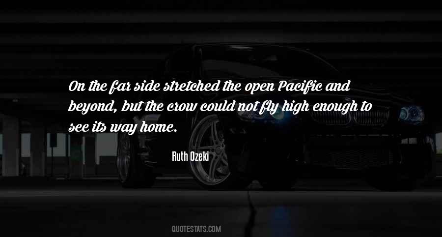 Panski Hair Quotes #1283027