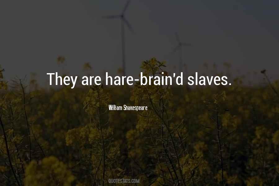 Chudnow Museum Quotes #723239