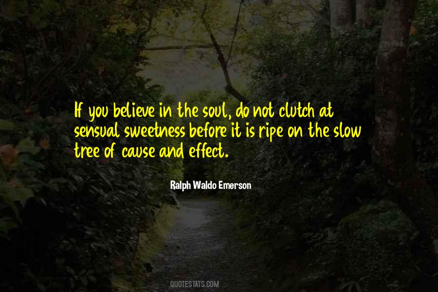 Alpesh A Patel Quotes #766187