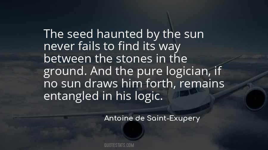 De Saint Exupery Quotes #200143
