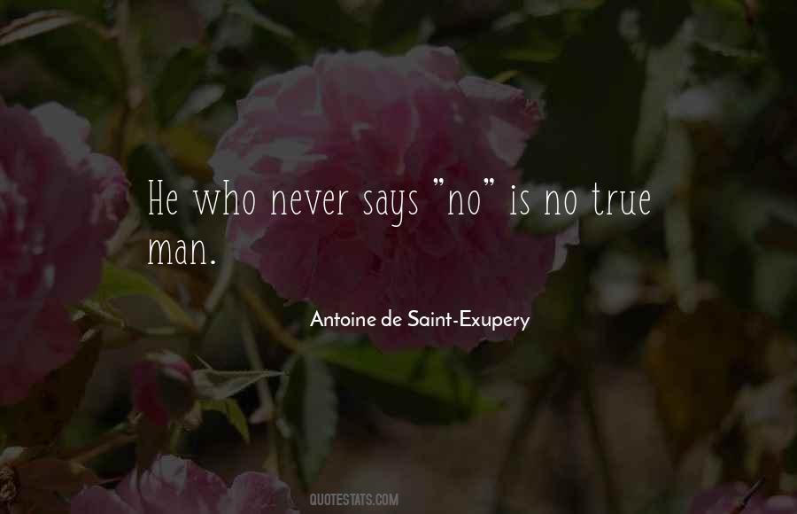 De Saint Exupery Quotes #258279