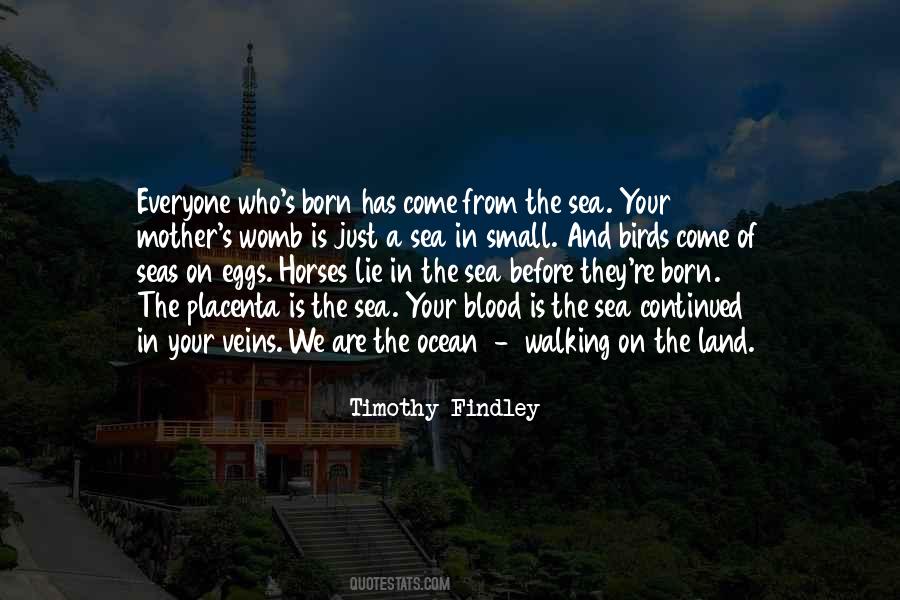 Shimrit Keddem Quotes #1359109