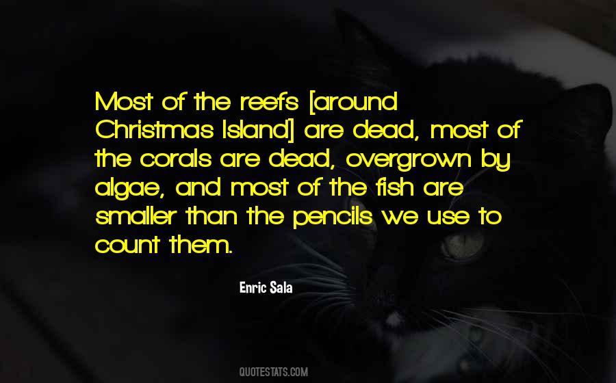 Dead Island Sam B Quotes #888047