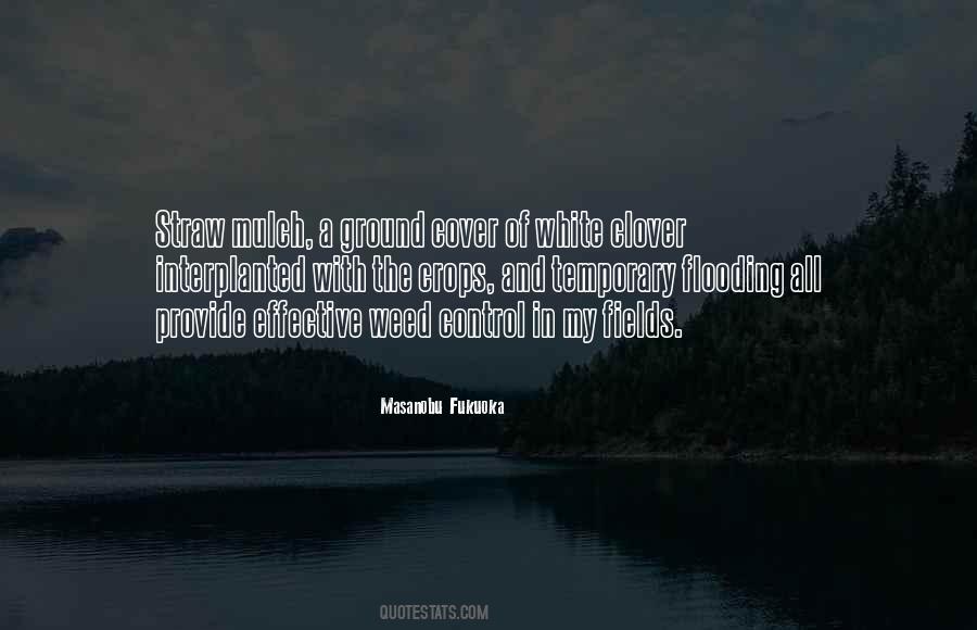 Kabache Food Quotes #414921