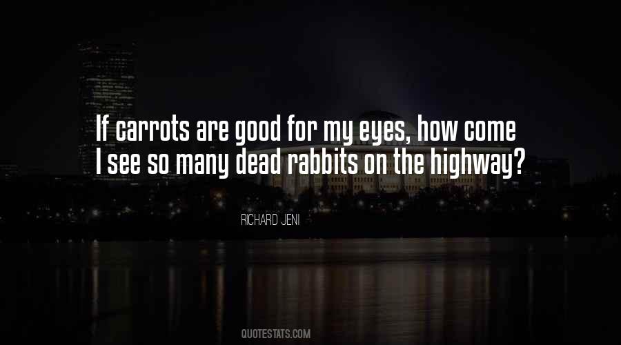 Dead Rabbits Quotes #18622