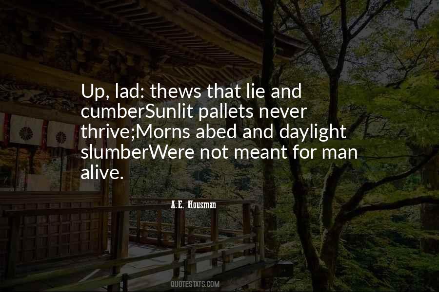 Machacek Castle Quotes #385770