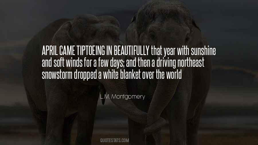 Tambours Have Quotes #466961