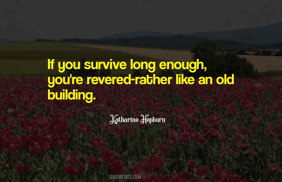 Birthday Long Quotes #700491