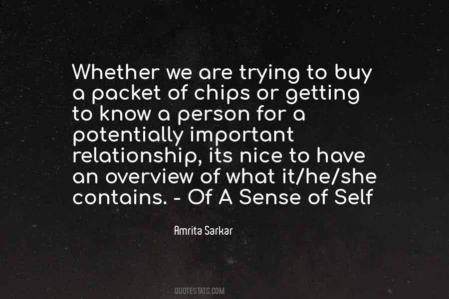 Quotes About Trying Relationships #274834