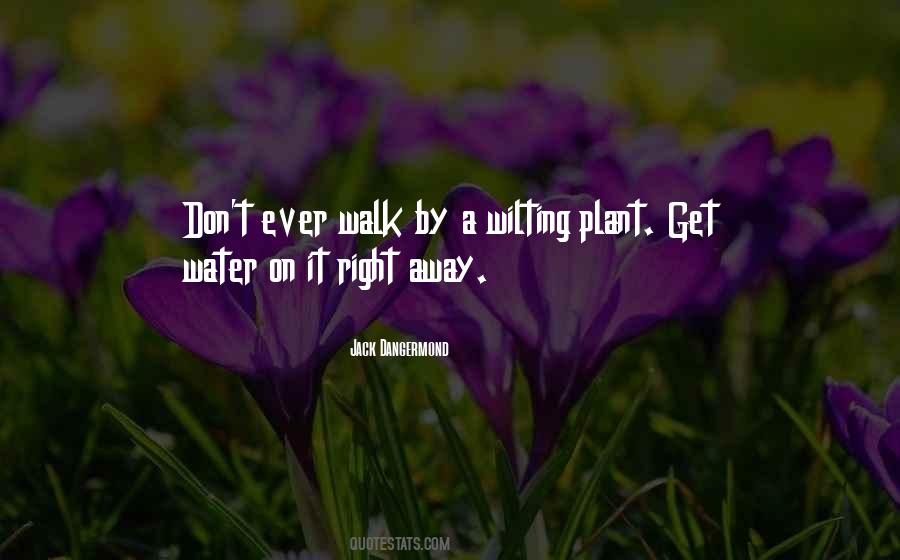 Be Willing To Walk Away Quotes #104854