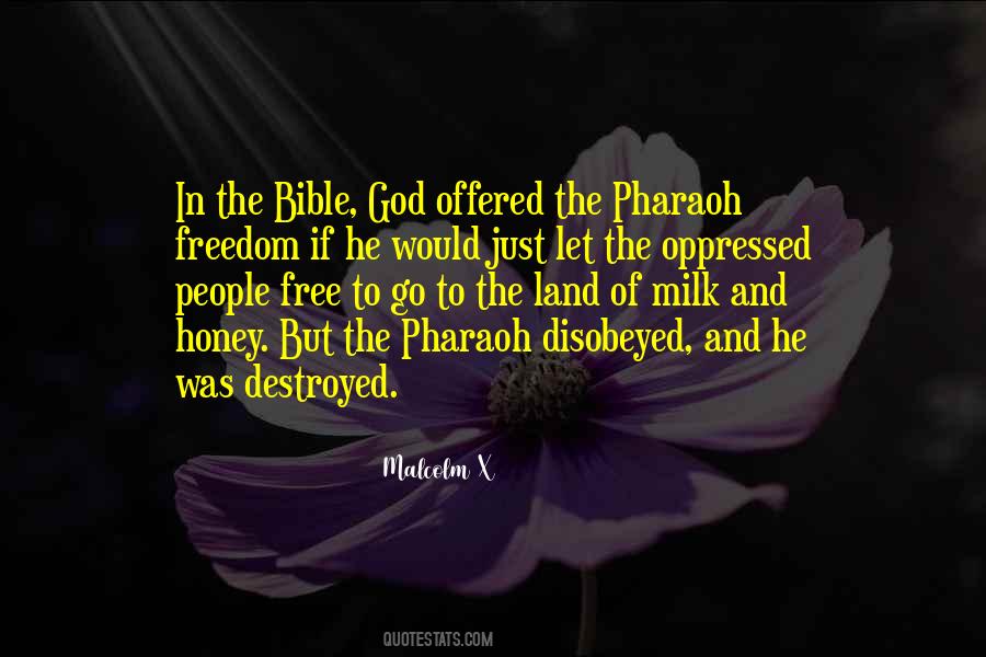 Freedom Bible Quotes #1158523