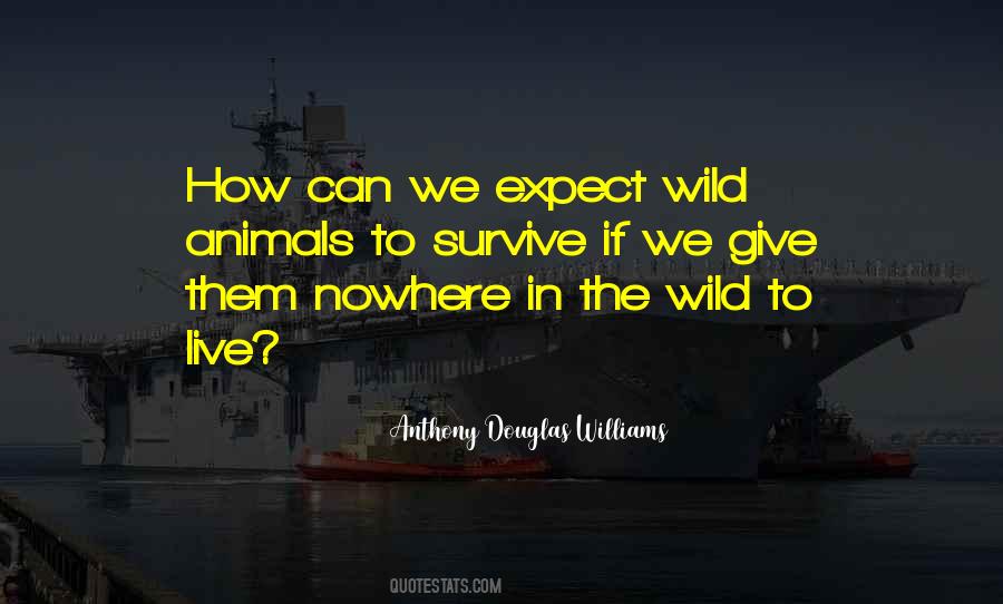 In The Wild Quotes #46754