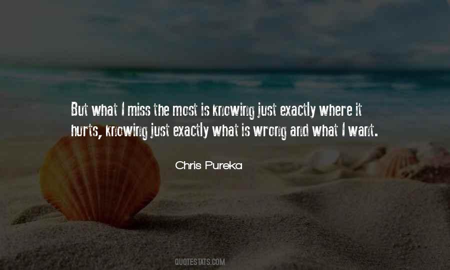 Missing Someone Hurts Quotes #993254
