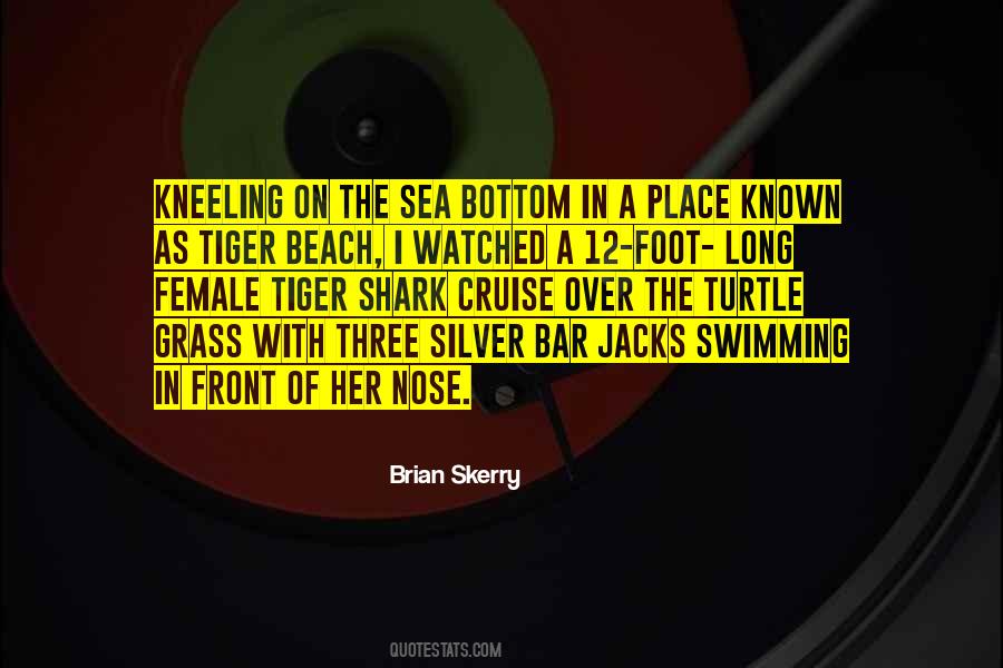 Sea Swimming Quotes #792497