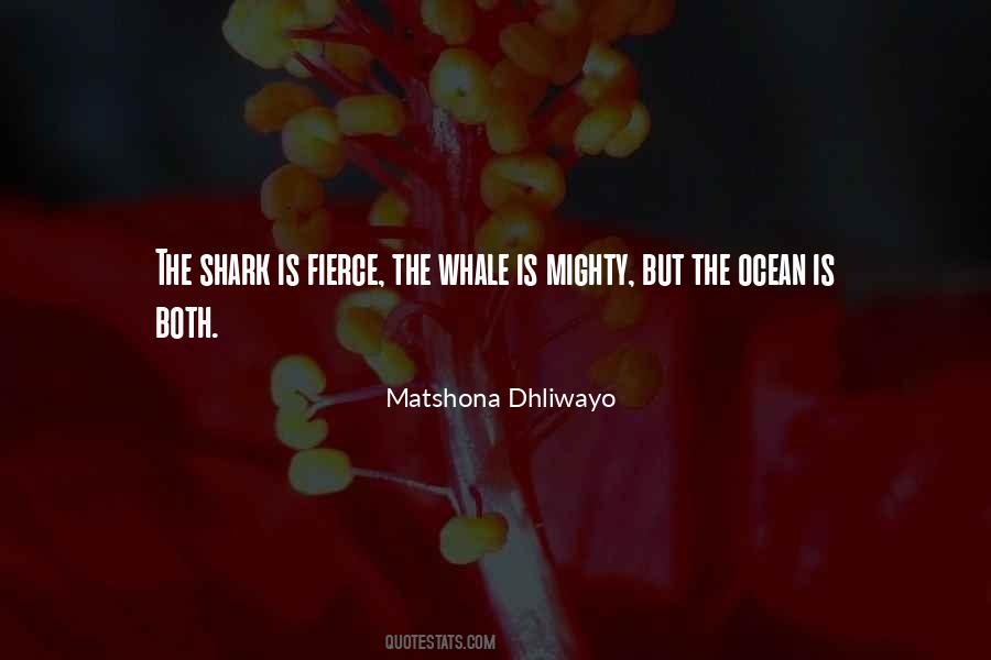 Best Shark Quotes #881513