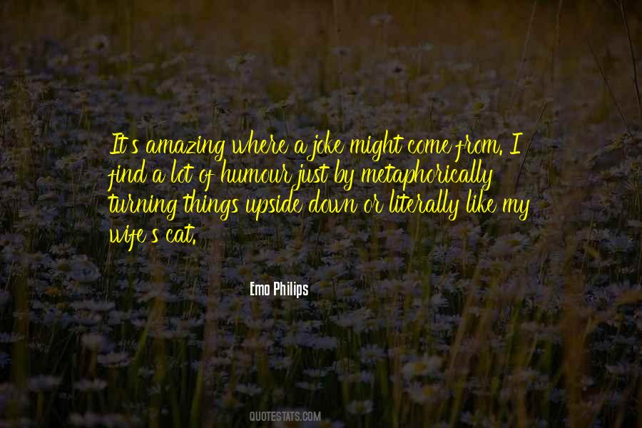 Find A Wife Quotes #687552