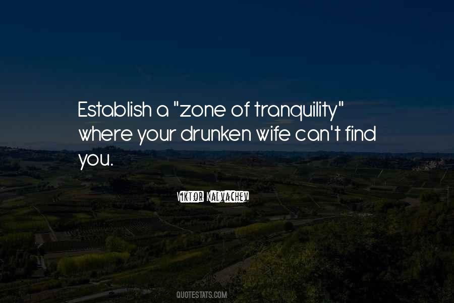 Find A Wife Quotes #893781