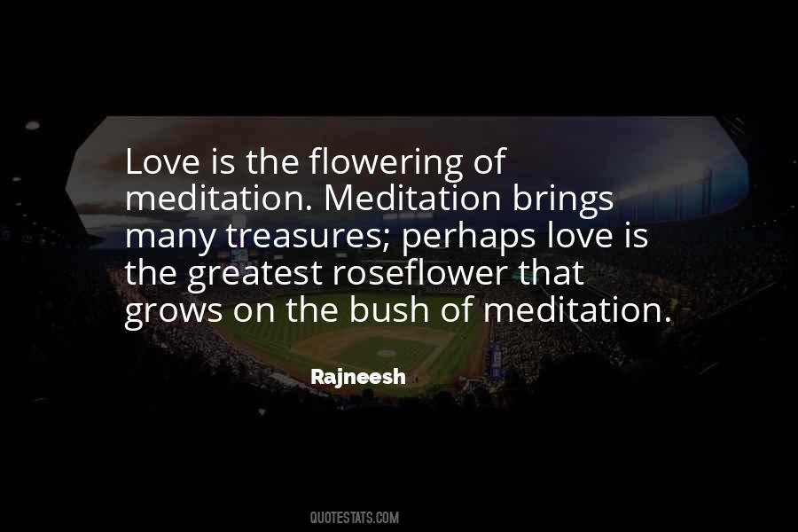 Meditation Love Quotes #1050960