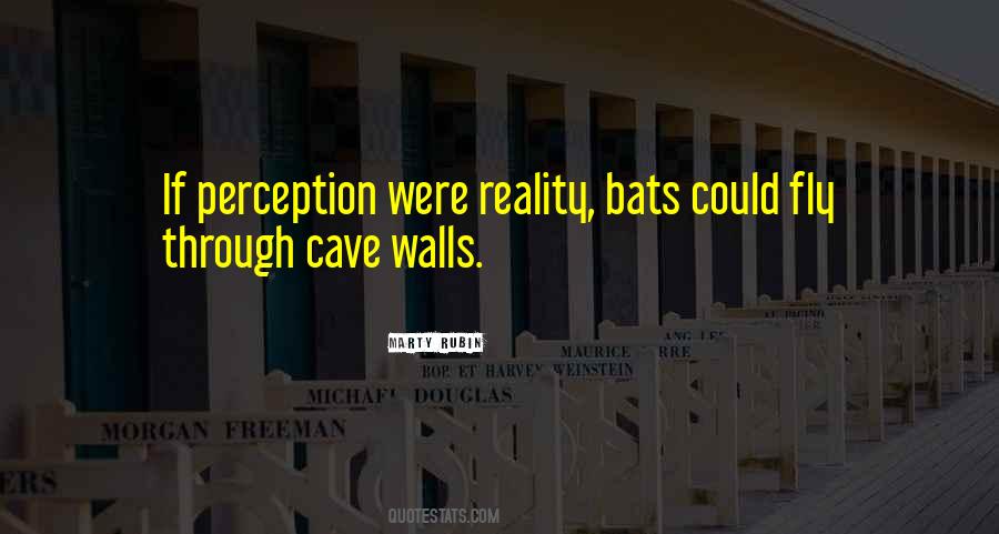 Your Perception Is Your Reality Quotes #28820
