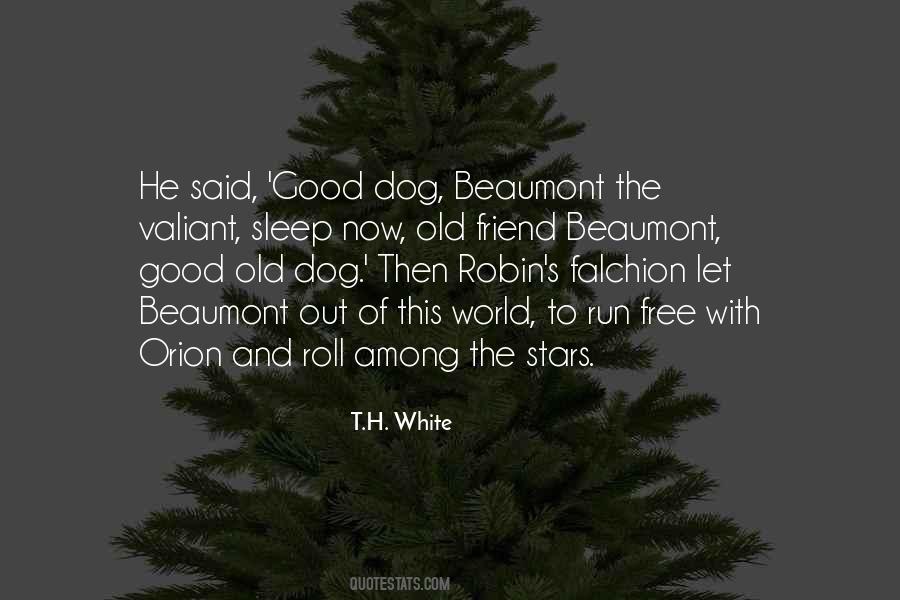Dog Friend Quotes #1056689