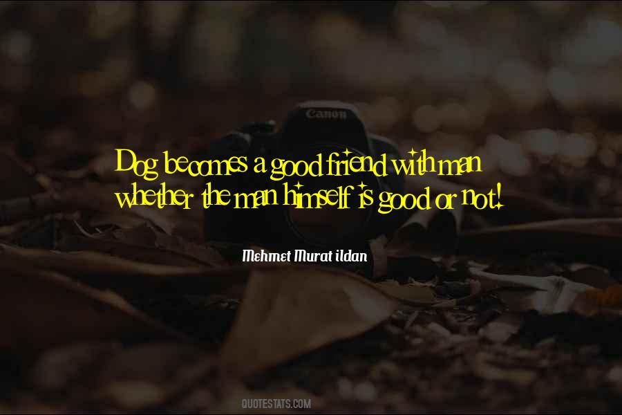 Dog Friend Quotes #1489556