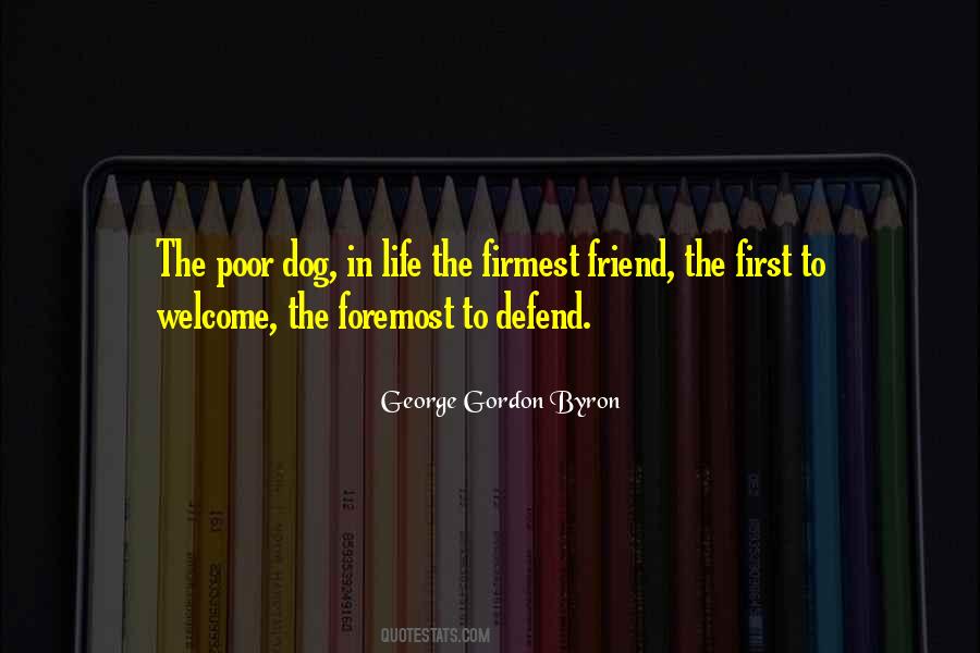 Dog Friend Quotes #943032