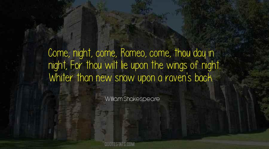 Snow Night Quotes #1294289