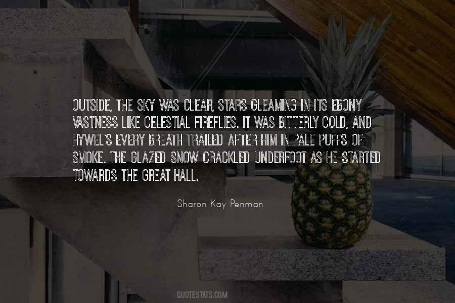 Snow Night Quotes #1596522