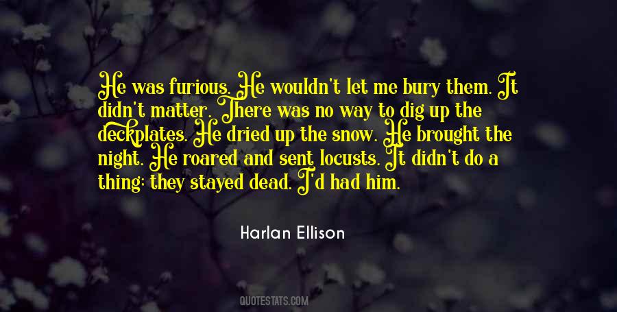 Snow Night Quotes #215621
