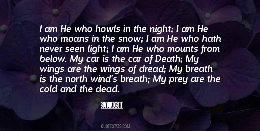 Snow Night Quotes #406414