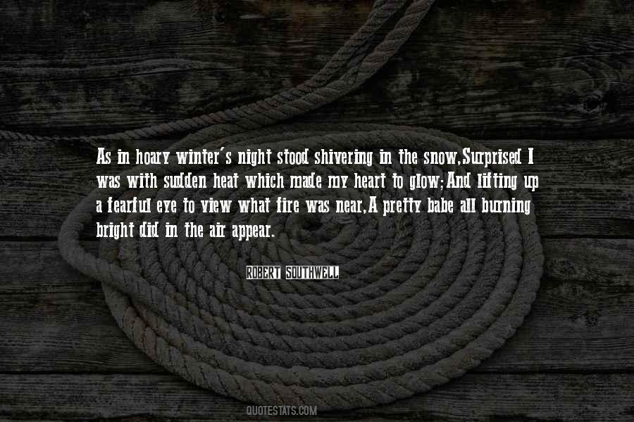 Snow Night Quotes #406974