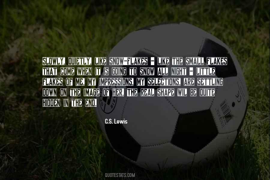 Snow Night Quotes #524638